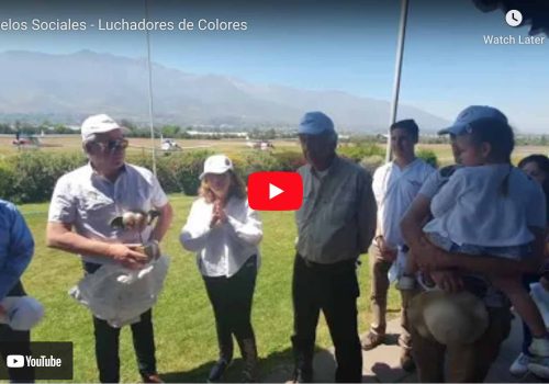 Luchadores de Colores